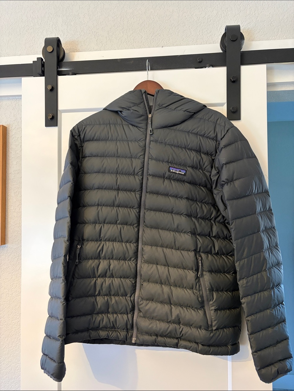 Patagonia Down Puffer Jacket with Hood